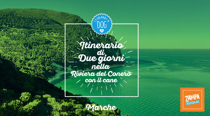 Itinerario di due giorni nella Riviera del Conero con il cane