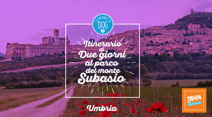 Itinerario di 2 giorni al Parco del Monte Subasio