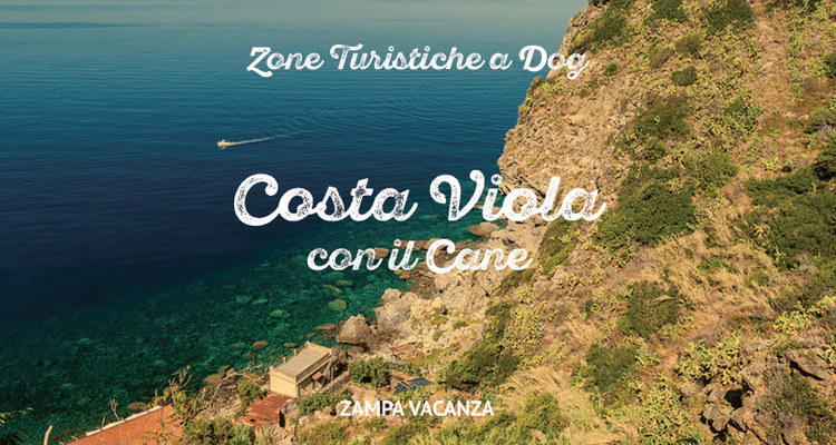 Costa Viola