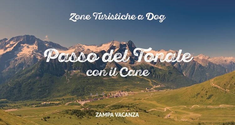 Passo del Tonale