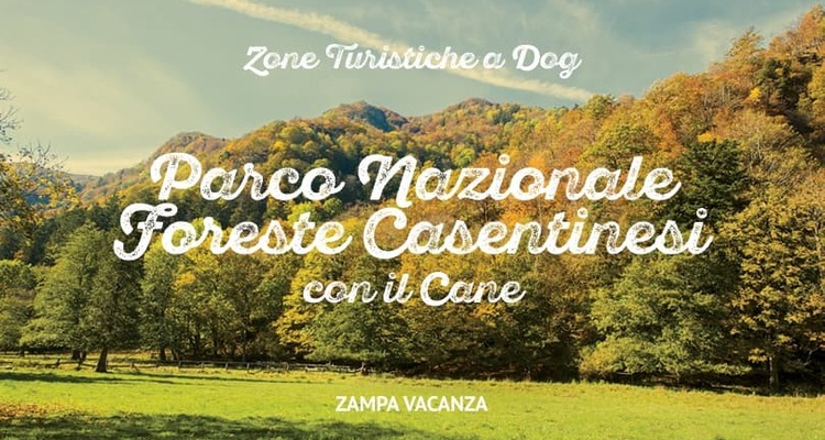 Parco Nazionale Foreste Casentinesi